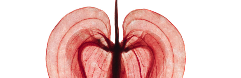 Priroda pod staklenim zvonom