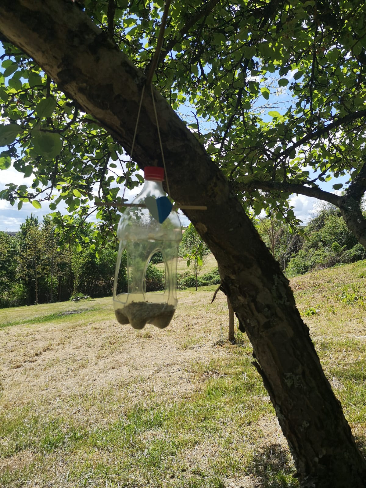 Slider image